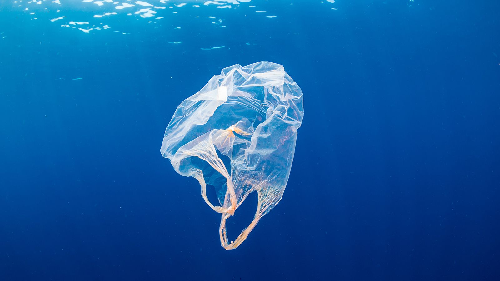 Ocean Plastic Pollution Guide: How To Save The Oceans And Marine Life